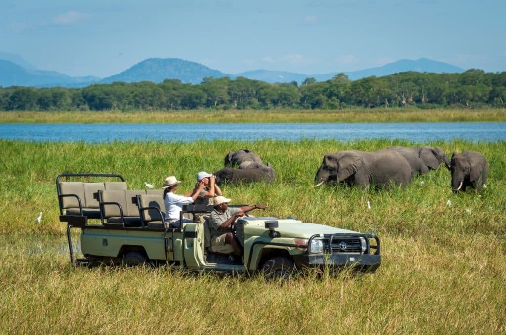 Best Time to Visit Zambia - April - Cheetah Safaris