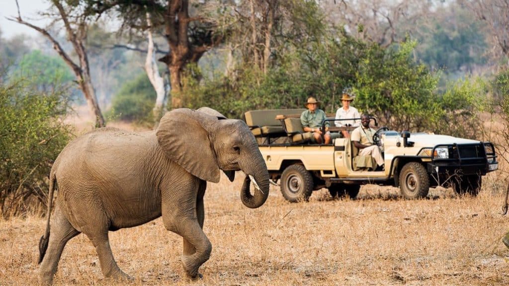 Best Time to Visit Zambia - July - Cheetah Safaris