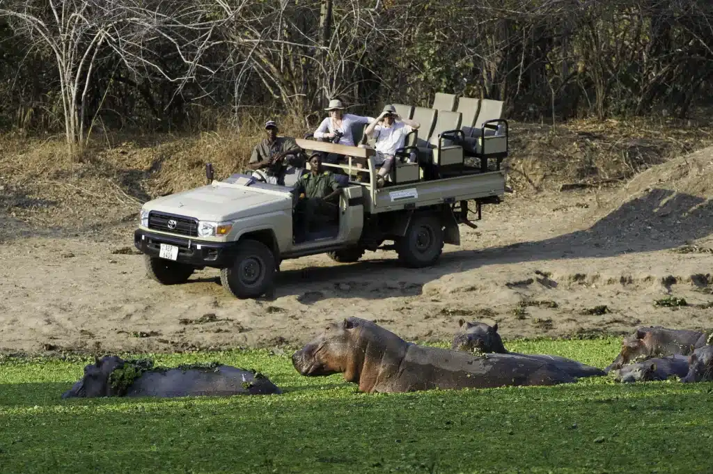 Best Time To Visit Zambia 15 Best Time to Visit Zambia - July - Cheetah Safaris