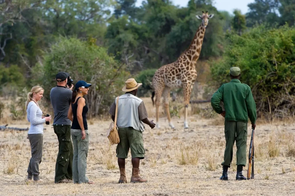 Best Time To Visit Zambia 6 Best Time to Visit Zambia - March - Cheetah Safaris