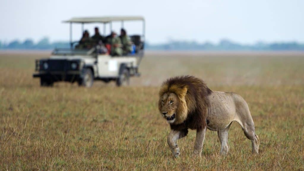 Best Time to Visit Zambia - May - Cheetah Safaris