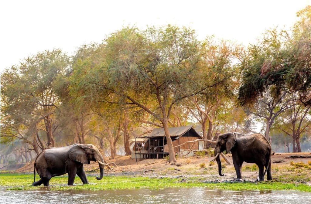 Best Time to Visit Zambia - October - Cheetah Safaris