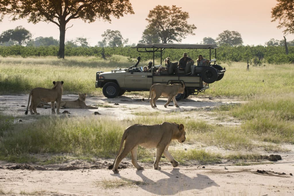 Best Time to Visit Zimbabwe - December - Cheetah Safaris