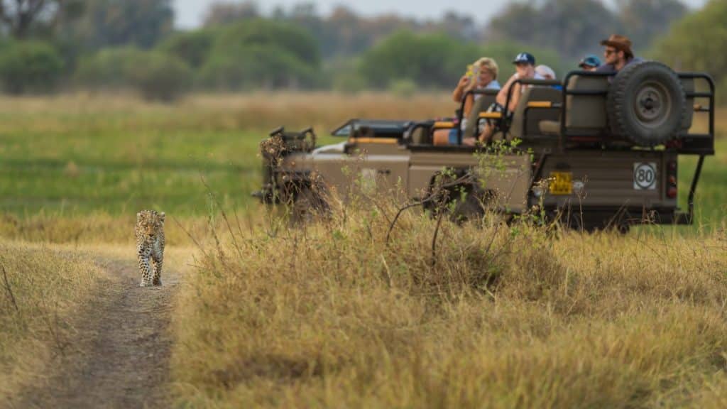 Best Time to Visit Zimbabwe - December - Cheetah Safaris