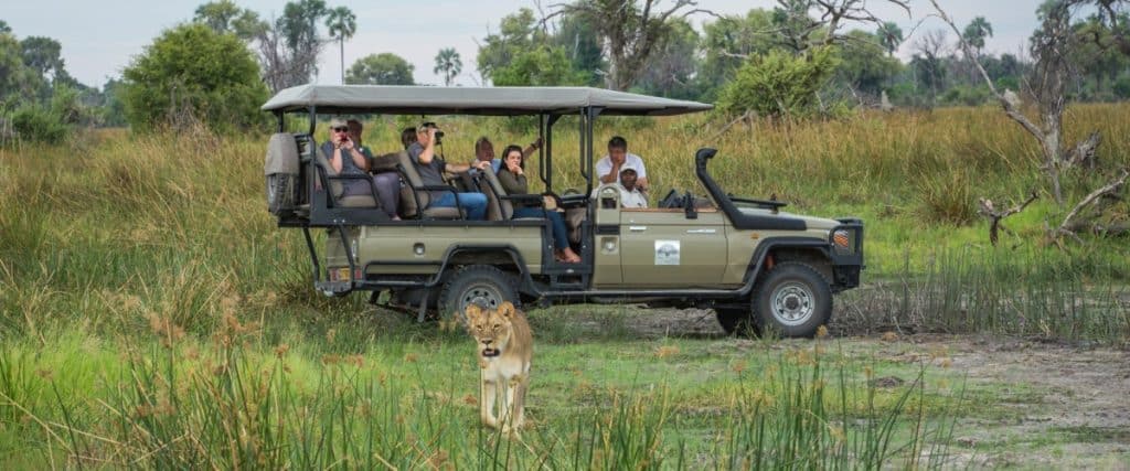 Best Time to Visit Zimbabwe - February - Cheetah Safaris