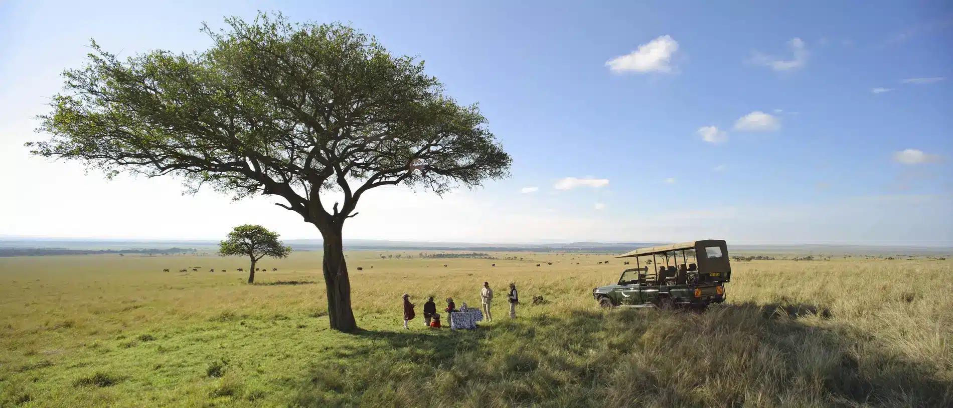Kenya Safaris in November - Best Time to Visit Kenya - Cheetah Safaris