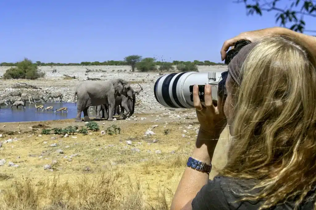 African Safari for Solo Travelers