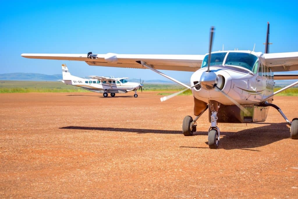 Fly In Safari