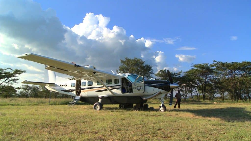 Fly In Safari