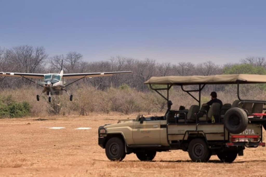 Fly In Safari