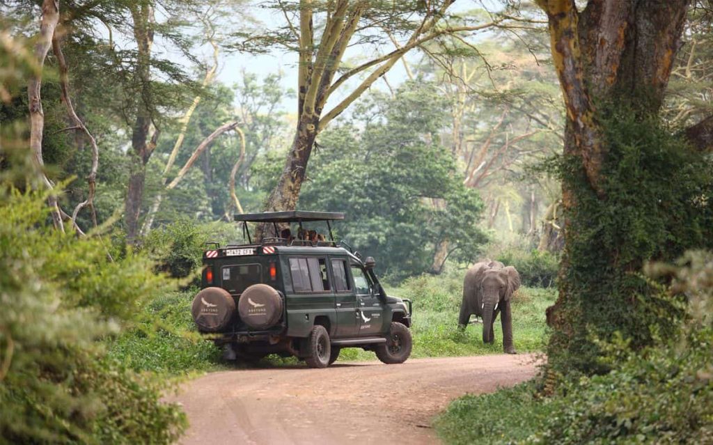 ngorongoro crater lodge game drive