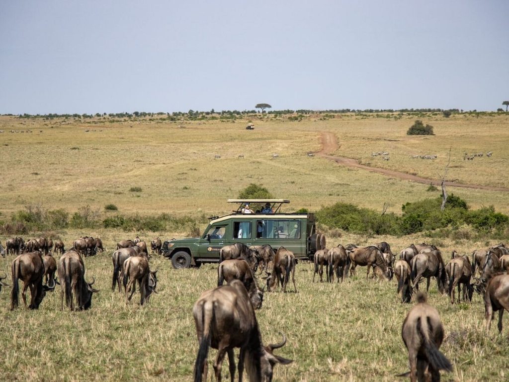 How much does a Safari in Tanzania cost in 2026?