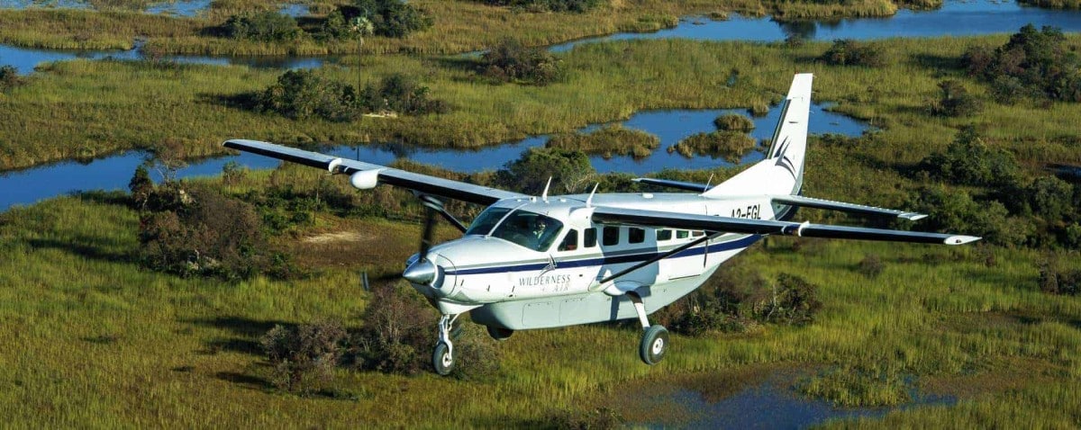 Fly In Safari
