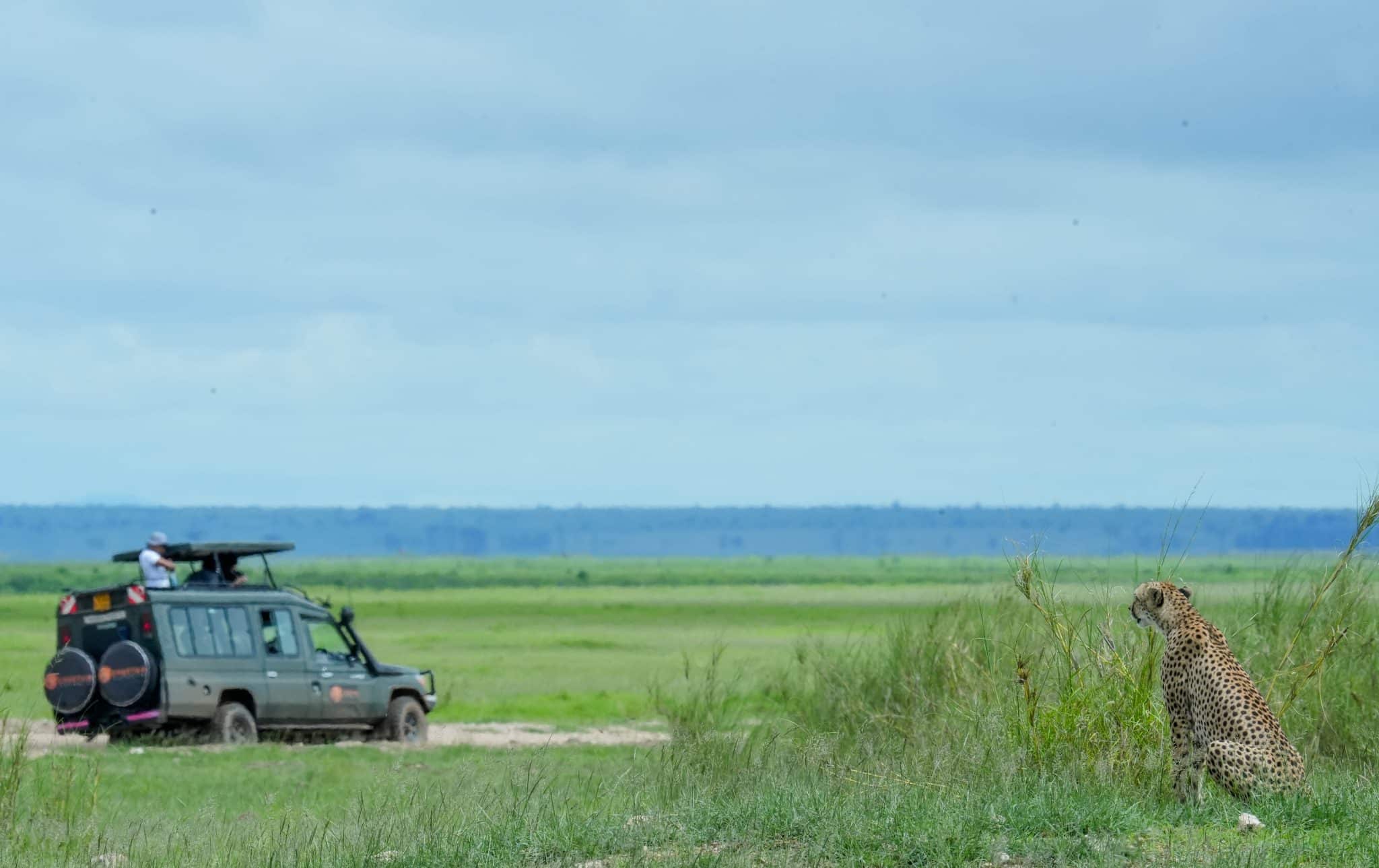 Amboseli Safari - Luxury Guided Safari - Cheetah Safaris