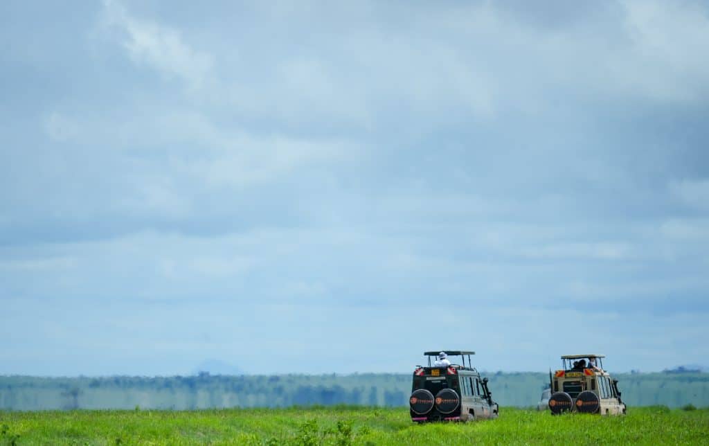 Kenya Safaris