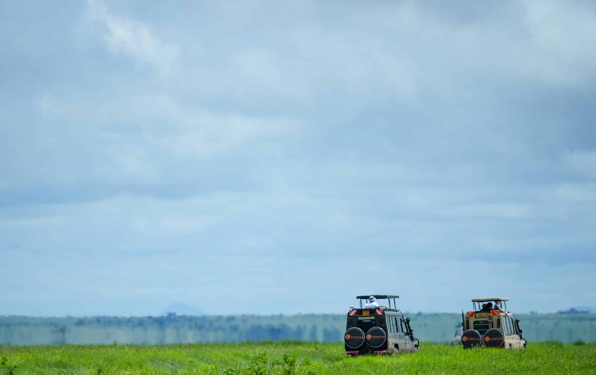 Kenya Safaris