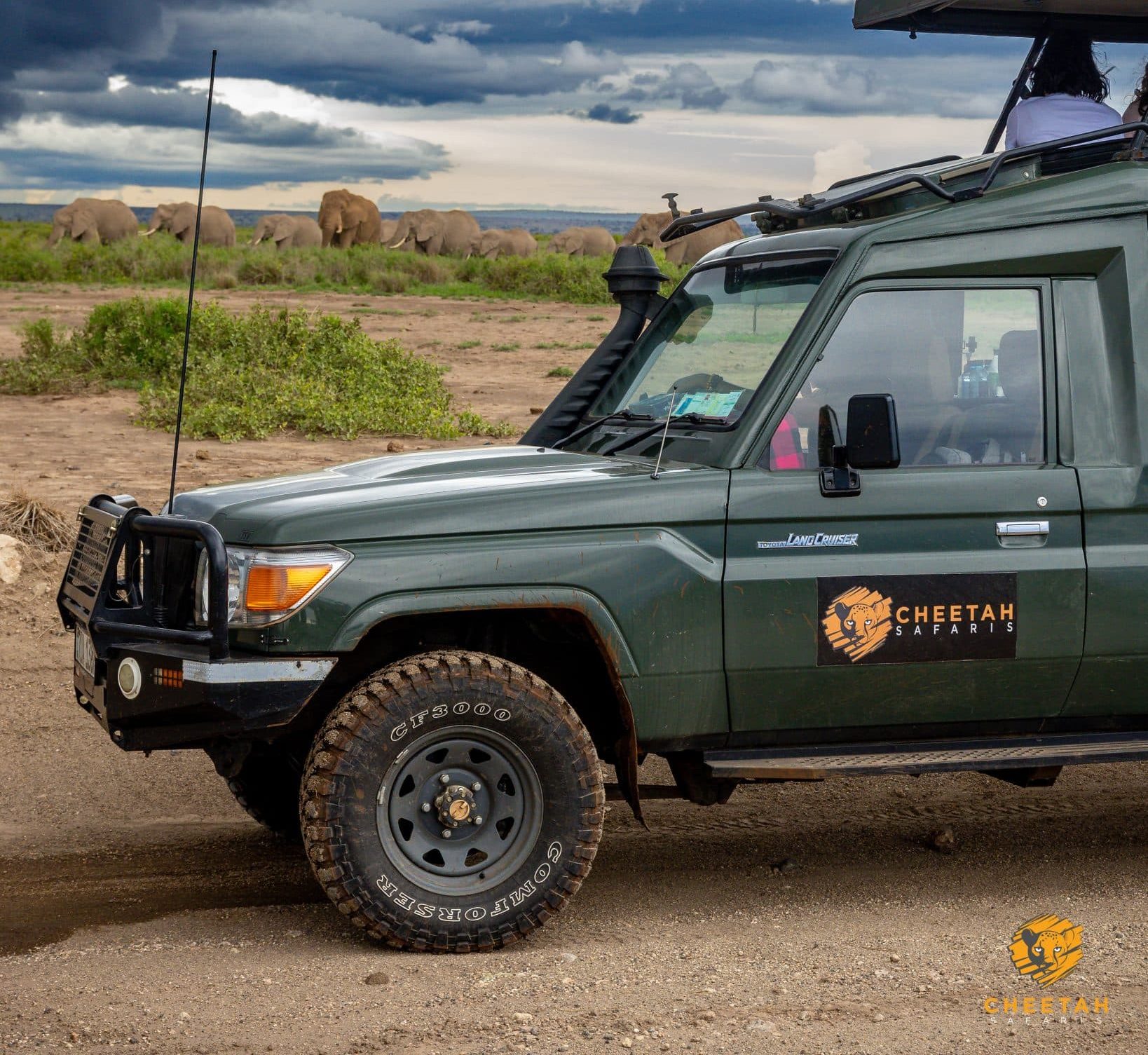 Luxury Vs Budget Cheetah Safari: Which One Should You Choose? 1 Amboseli 524 scaled e1779708235685