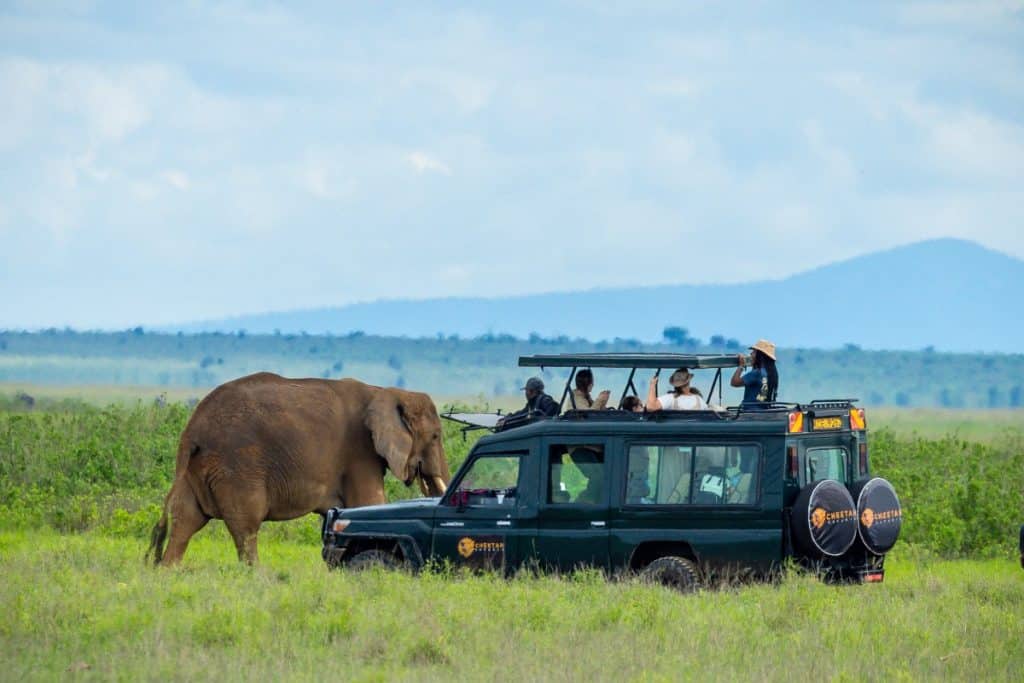Guests Enjoying Elephant Sighting in Amboseli on a Cheetah Safaris Holiday.