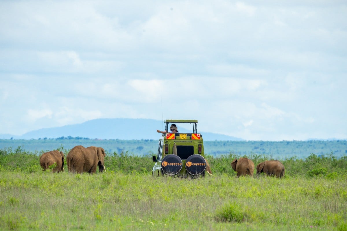 Private Safari Vs Group Safari: Which One Is Right For You? 3 Guests spotting Elephants in Amboseli while on Safari With Cheetah Safaris
