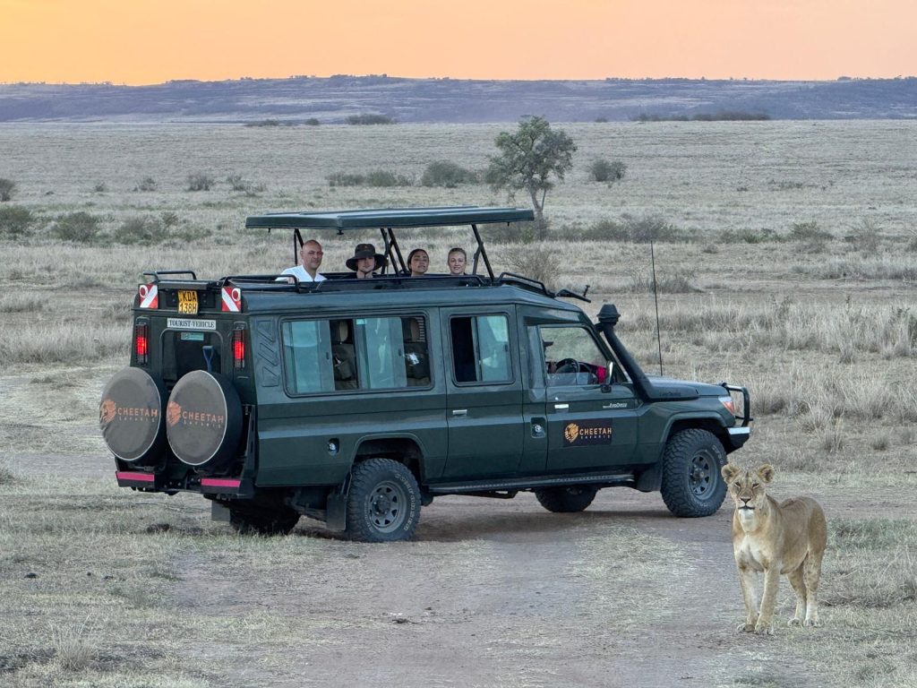 Guests on a Private Safari with a Lion in Masai Mara
