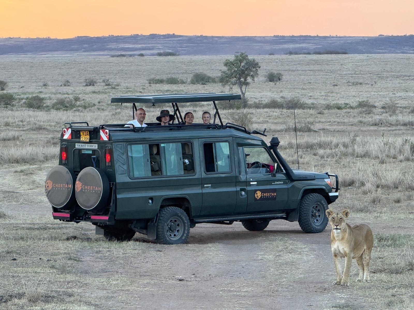 Guests on a Private Safari with a Lion in Masai Mara