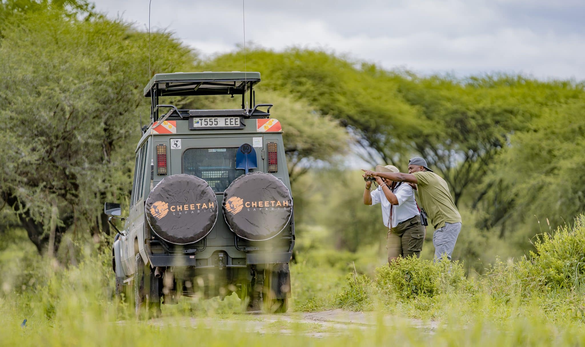 Luxury vs Budget Safari