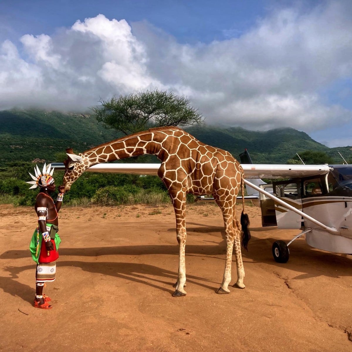 Luxury African Safaris - Cheetah Safaris