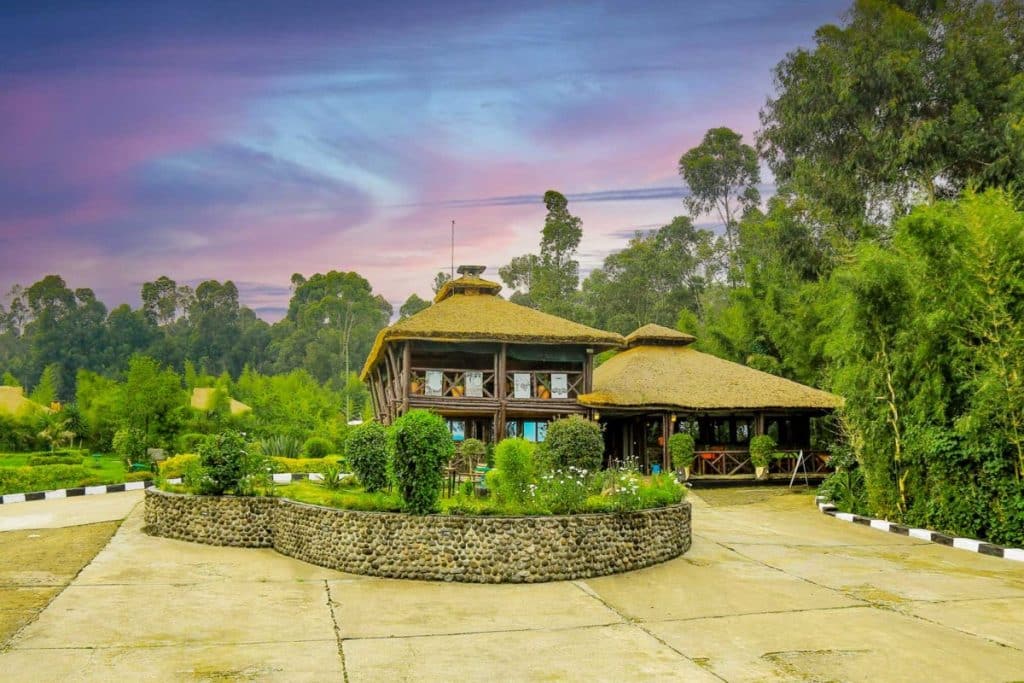 DaVinci Gorilla Lodge