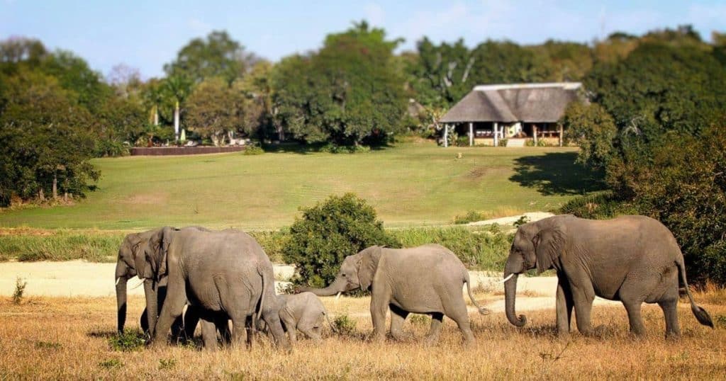 Inyati Lodge