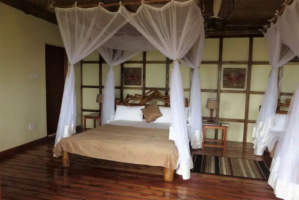 Buhoma Haven Lodge