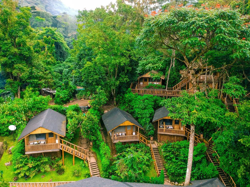 Buhoma Haven Lodge