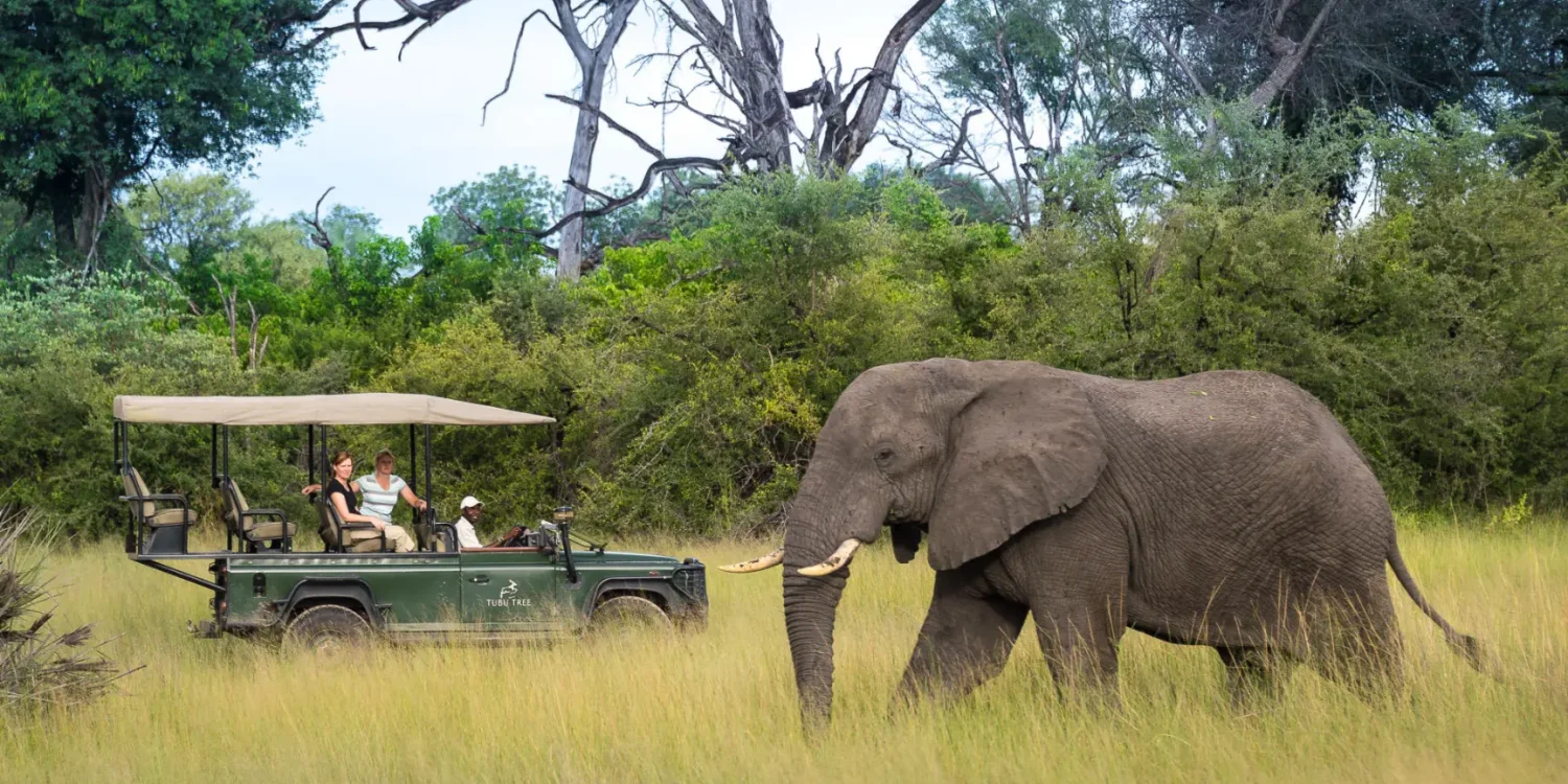 Multi-Generational Safari Guide: Planning Kenya And Tanzania For Children, Parents And Grandparents 8 Guests on Family Safari enjoying Game Drives and Sighting Elephants