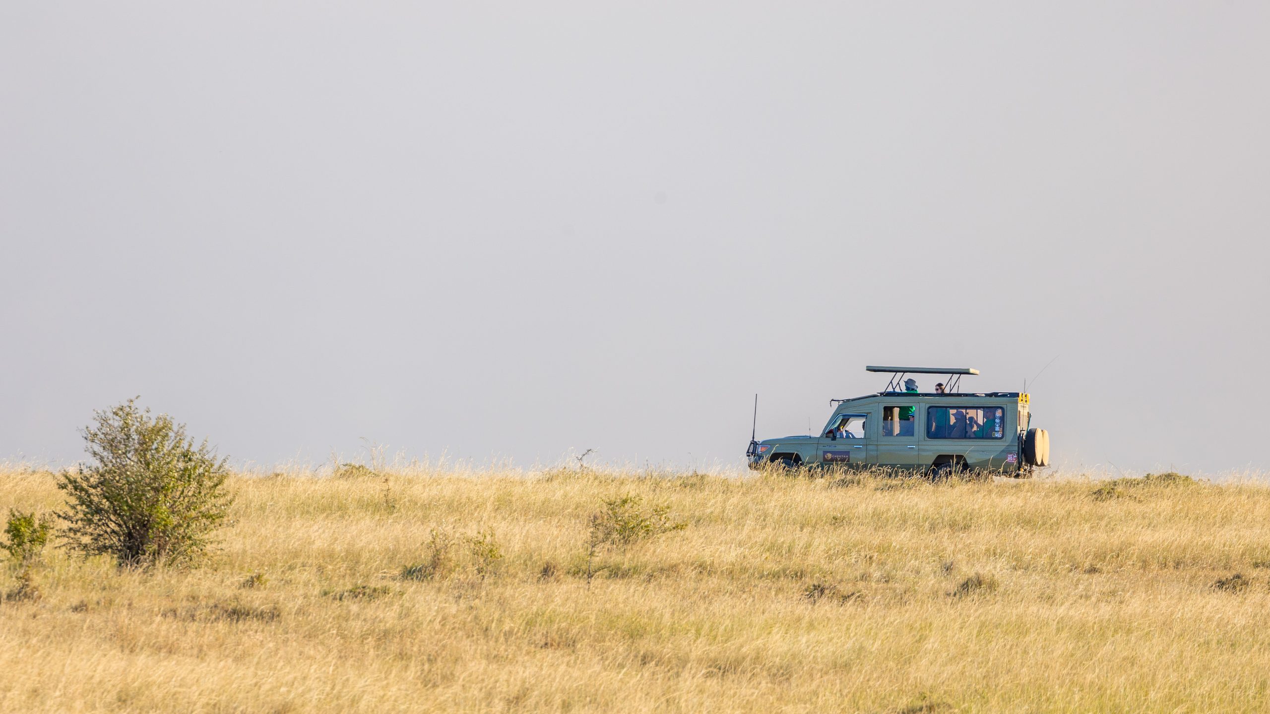 Responsible Wildlife Viewing: Why We Run Off-Radio Safaris 6 On our Off-Radio Safari Game drive in Masai Mara, Looking for wildlife