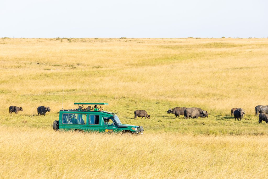 Guests on Safari in Masai Mara, Enjoying Wildlife Viewing with Cheetah Safaris (9)