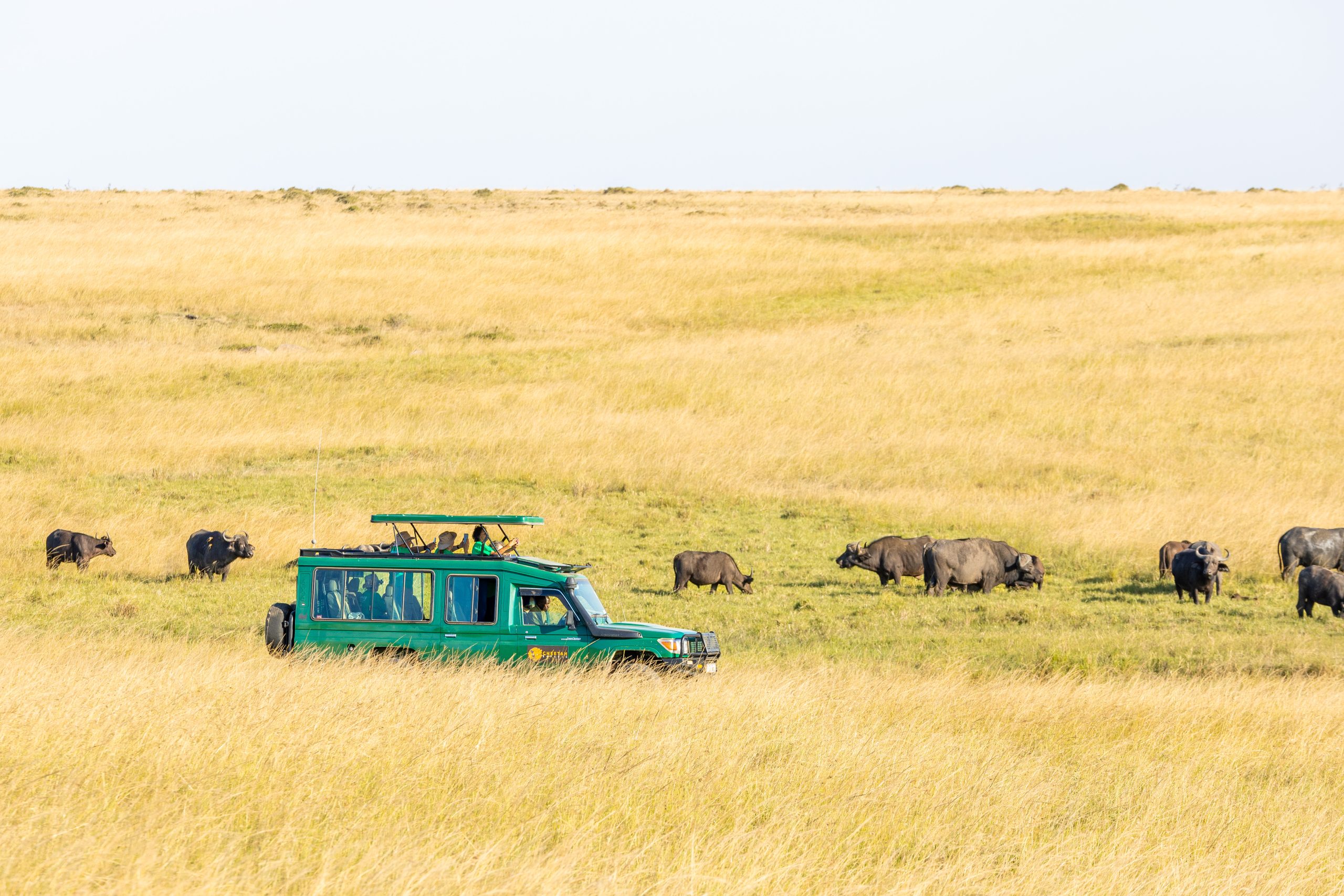 Guests on Safari in Masai Mara, Enjoying Wildlife Viewing with Cheetah Safaris (9)