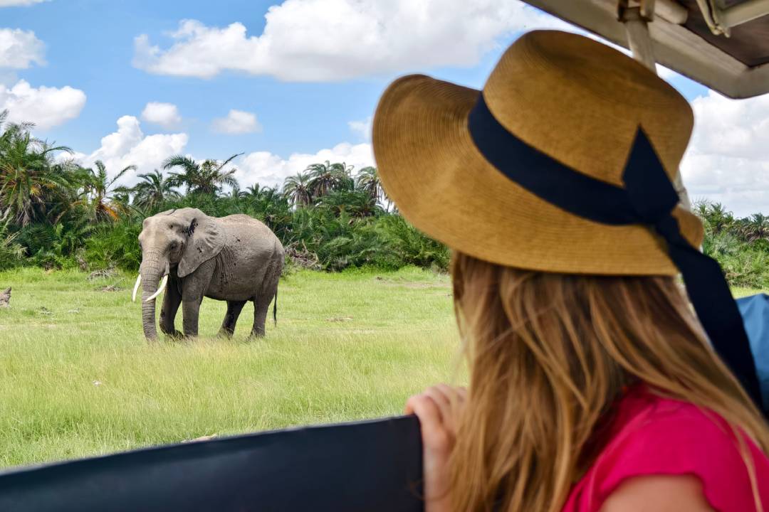 A young adult woman watches an elephant during one of her family’s safaris in Kenya.