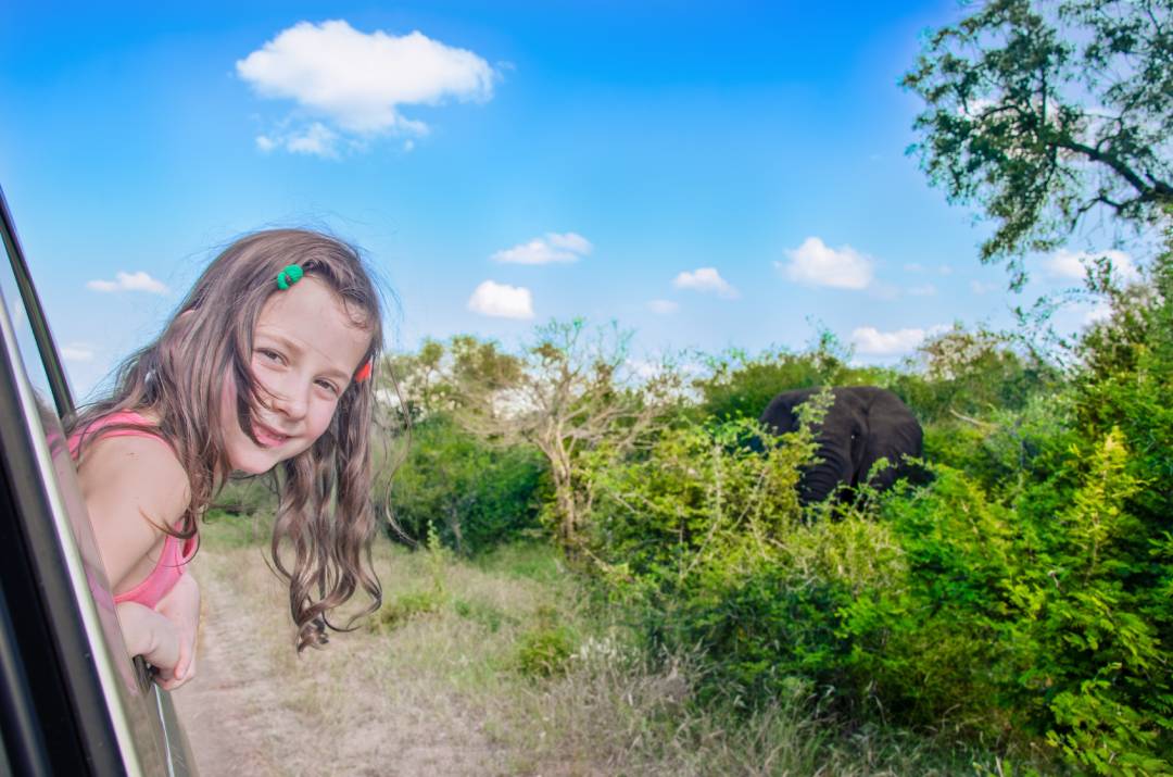Family Safari In Kenya Vs. Tanzania: Which Is Easier With Kids? 1 A young girl with barrettes leans out of a car window; behind her, an elephant peeks through greenery.