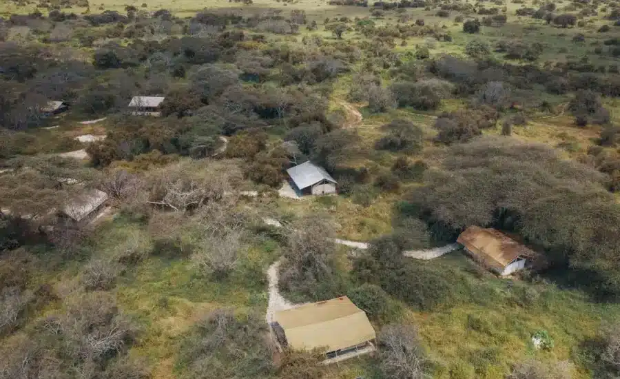 porini amboseli camp