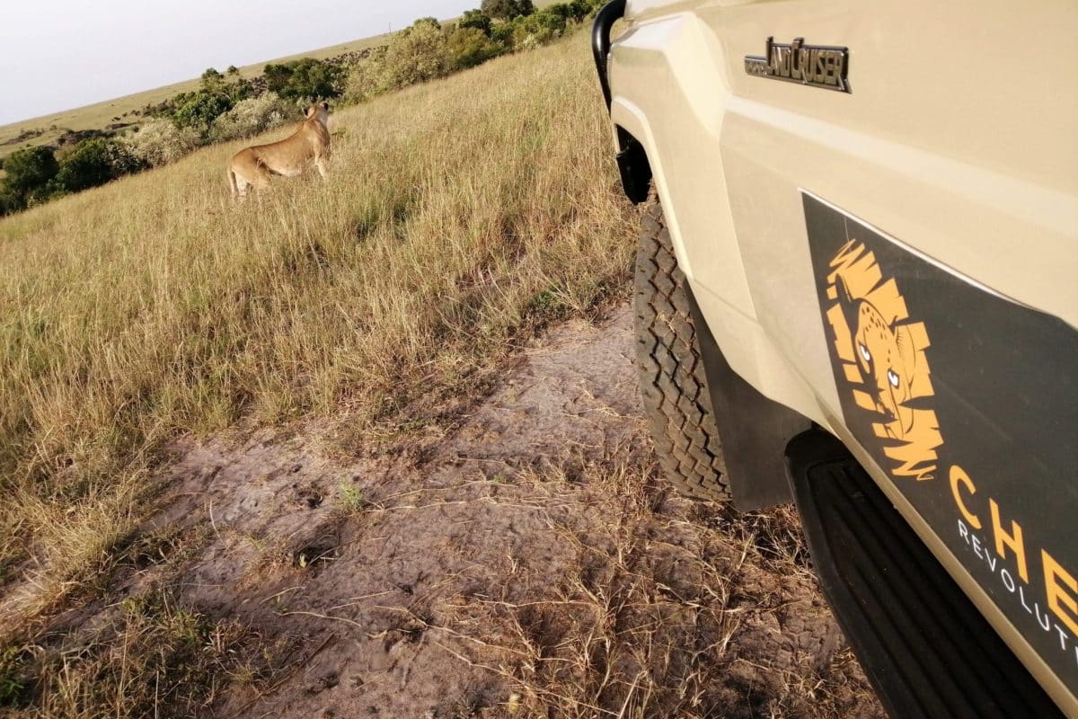 African Safaris - All Inclusive Safaris - Tanzania Holidays African Safari Holidays - Cheetah Safaris