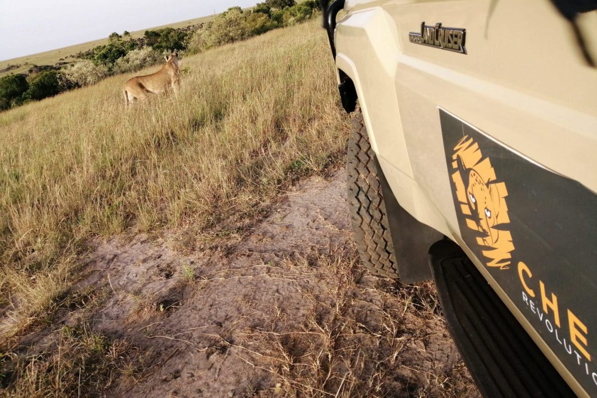 Kenya and Tanzania Safaris - Kenya Safaris - Tanzania Safaris - Private Safaris - Family Safaris - Cheetah Safaris