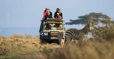 Kenya Safaris - Best Time To Visit Africa - Tanzania Safaris - Cheetah Safaris