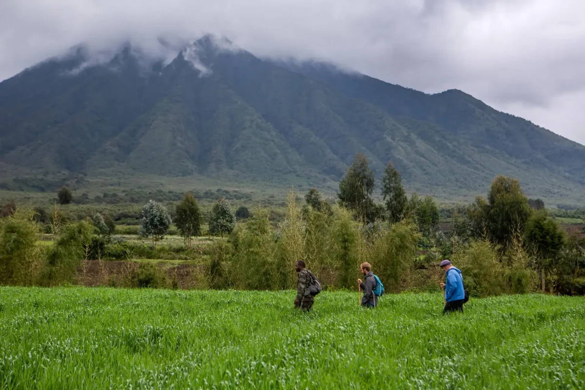 Rwanda Safaris – Luxury Rwanda Tour Packages Rwanda Safaris - Luxury Rwanda Tour Packages