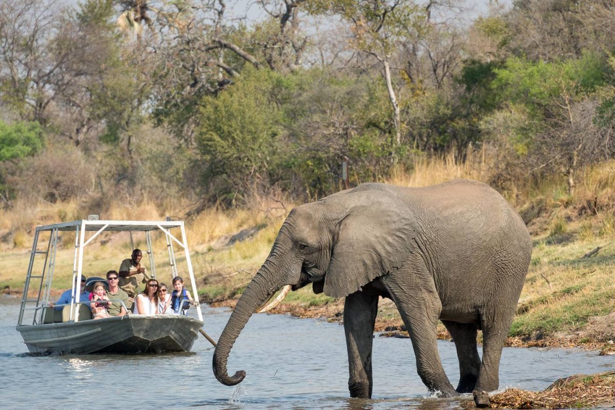 Luxury Zambia Safaris Luxury Zambia Safaris