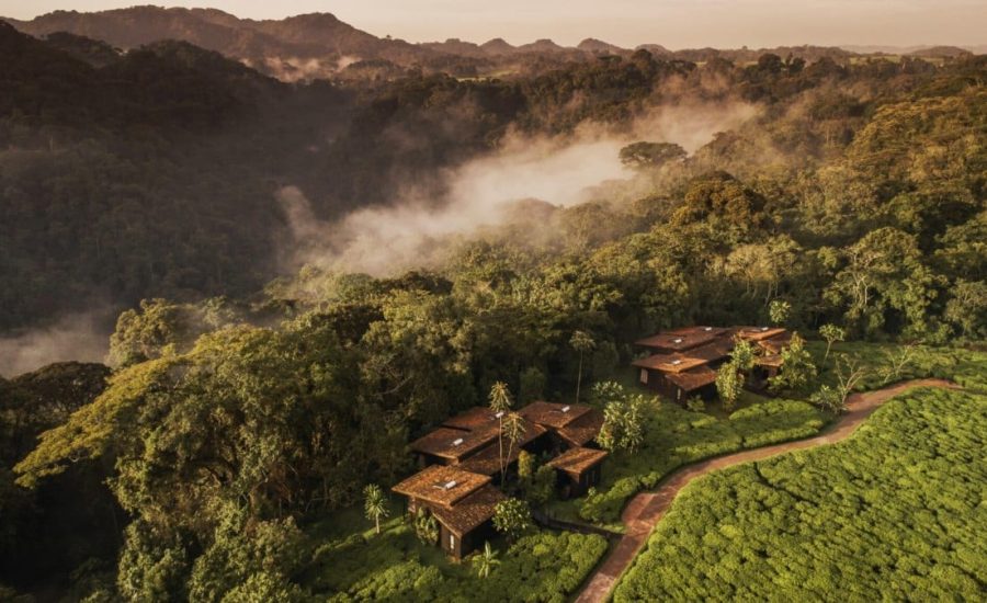 Nyungwe Lodge