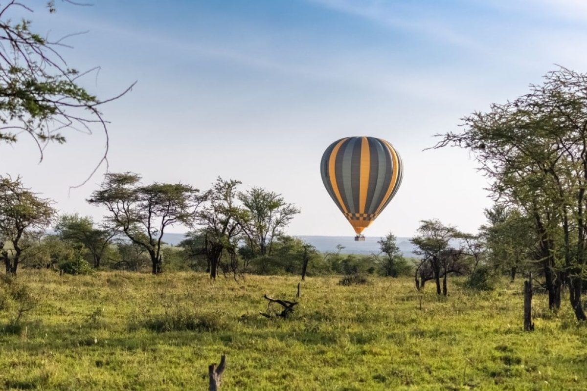 Balloon Safari in Serengeti Tanzania - African Safari Activities - Cheetah Safaris