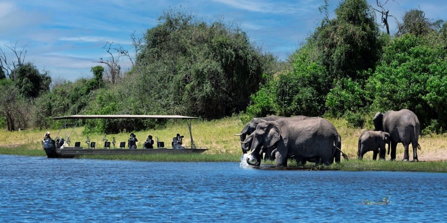Chobe National Park Chobe National Park
