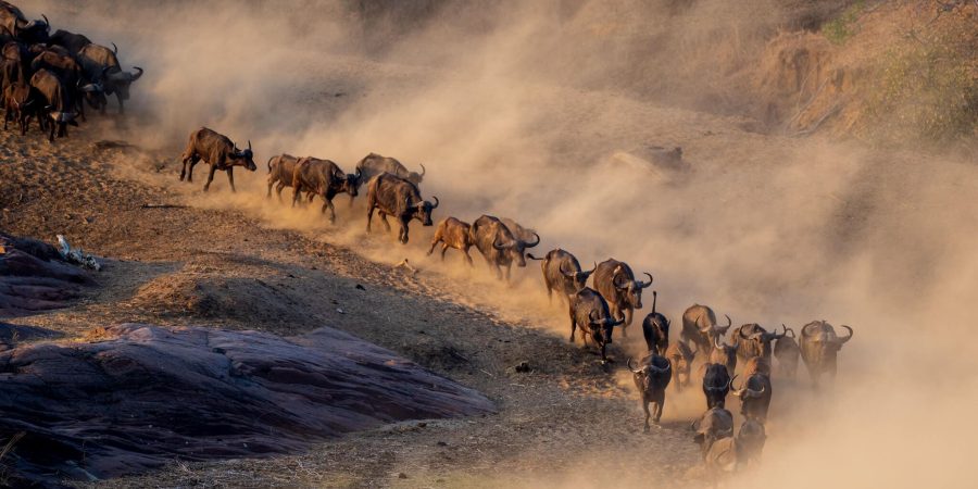 Gonarezhou National Park Gonarezhou National Park