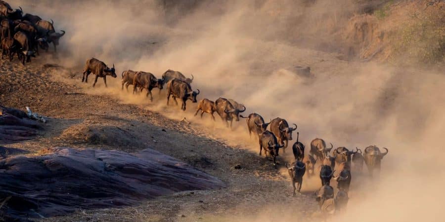 Gonarezhou National Park