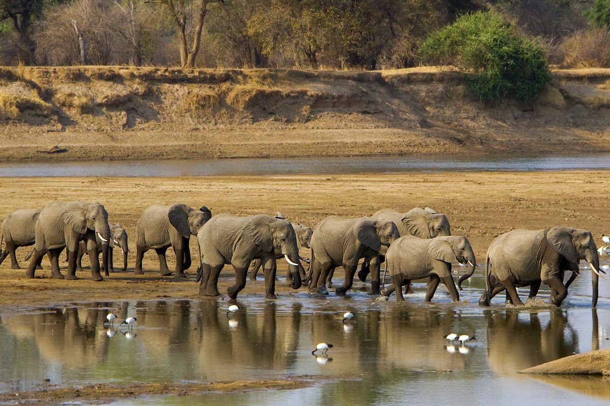 Luxury Zambia Safaris Luxury Zambia Safaris