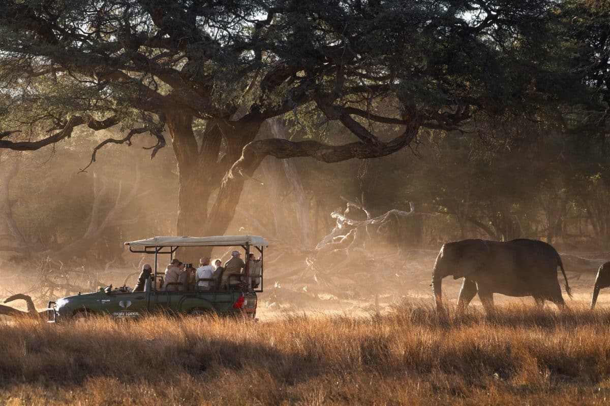 Zimbabwe Safaris - Luxury Zimbabwe Safaris